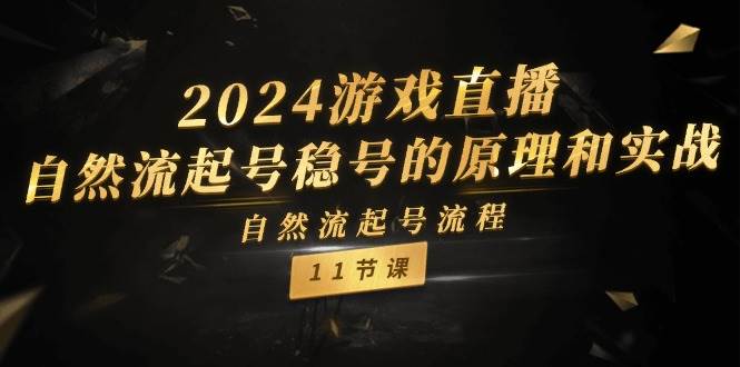 2024游戏直播-自然流起号稳号的原理和实战，自然流起号流程（11节）-蔚县浩瑞城网络工作室