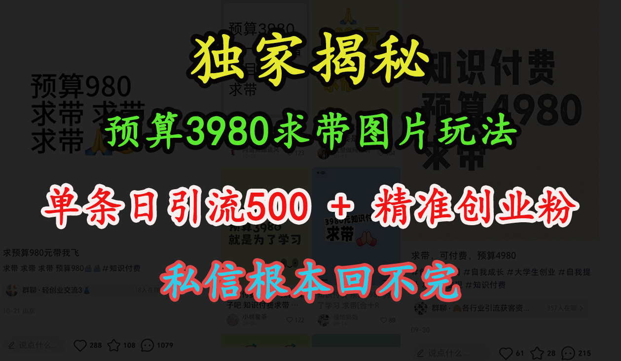 “小红书”预算3980求带 图片玩法，单条日引流500+精准创业粉，私信根本回不完-蔚县浩瑞城网络工作室