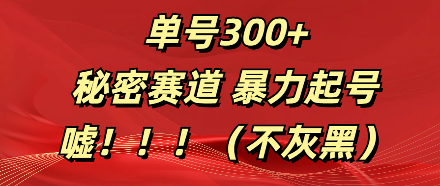 单号300+  秘密赛道 暴力起号  （不灰黑）-蔚县浩瑞城网络工作室